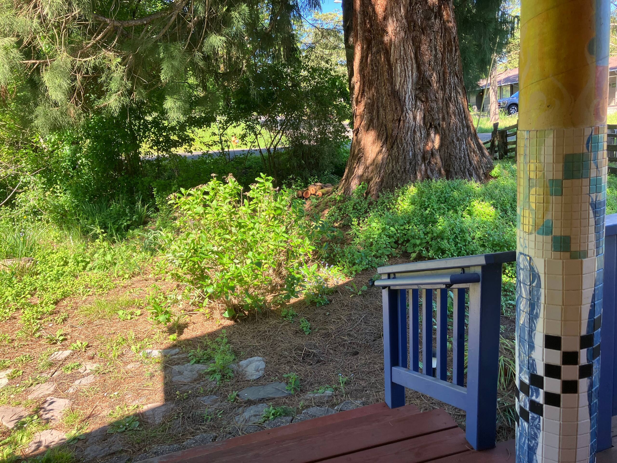 Porch view of the garden and majestic Sequoia tree